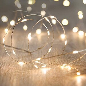 Twinkle Lights